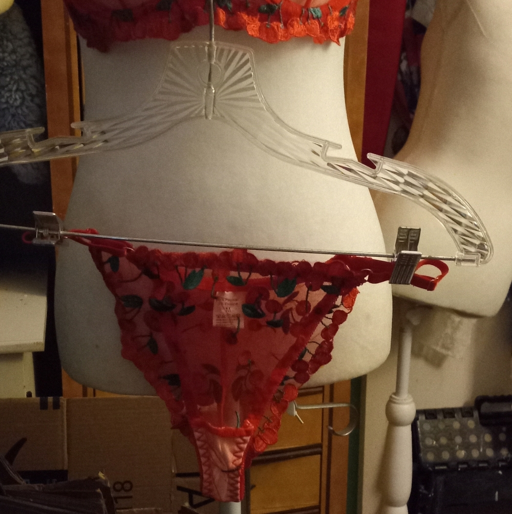 New,red sheer mesh cherries  embroidered underwire bra & thong lingerie size med - Picture 2 of 13
